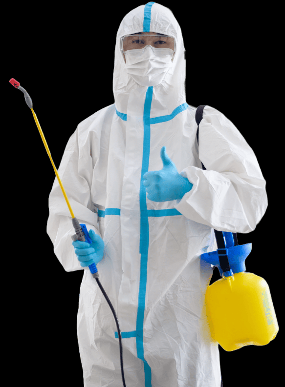 Picture 2 of PEST FLASH Fumigation & Pest Control Services