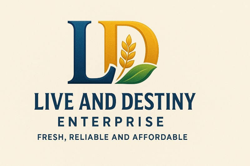 Picture 1 of DESTINY SHOP YALA