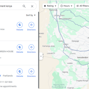 SEO Services in Nairobi