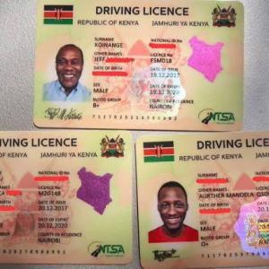 Smart Driving License Application and Renewal