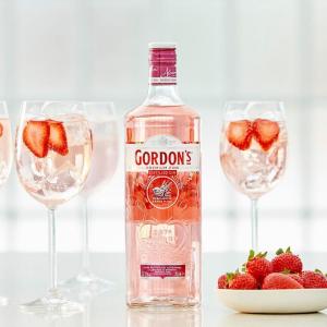 Gordon's pink 1L