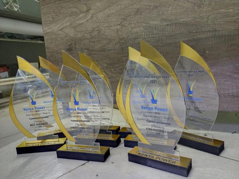 Picture 2 of Customized Aclyric award plaques