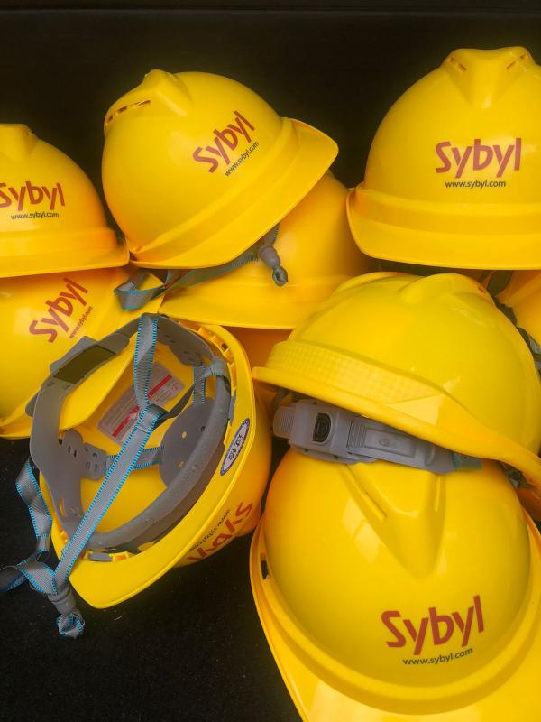 Picture 3 of Branded Site Safety Helmets